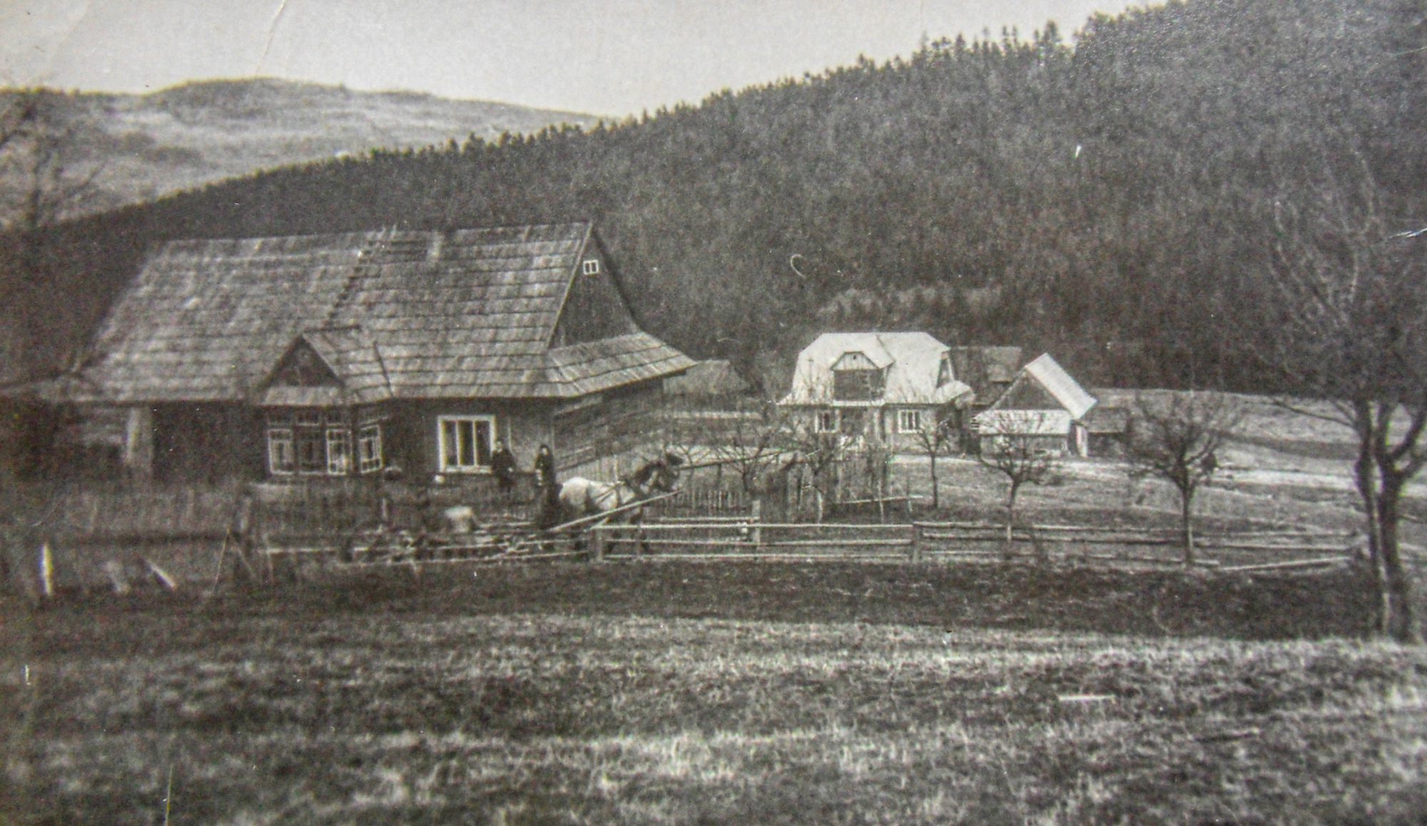 SPYRKA - HISTORIA RODZINY